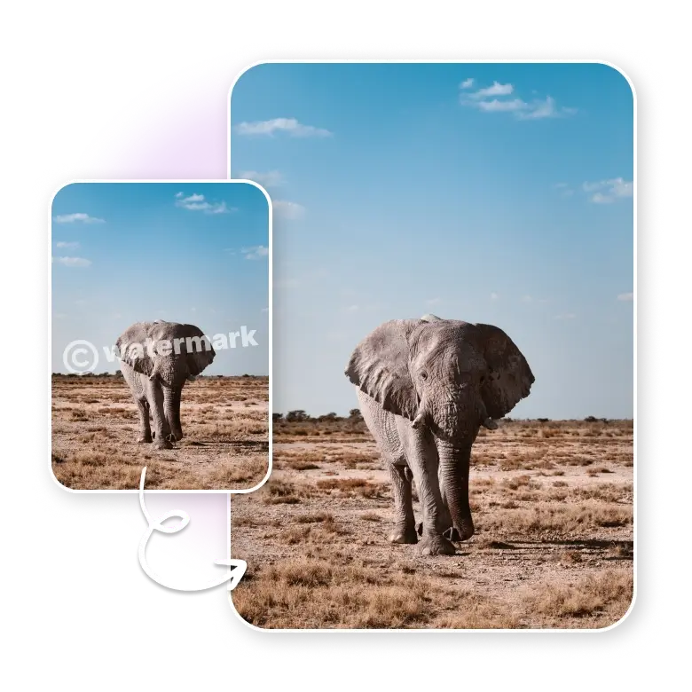 comparison of elephant images displaying clean and watermark-free results after editing.