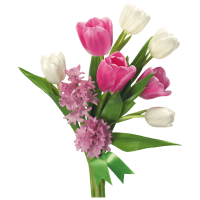 White Pink Tulip Bouquet