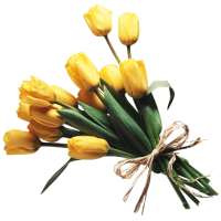 Yellow Tulip Bouquet