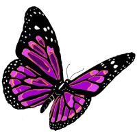 Purple Black Butterfly