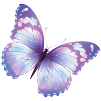 Pink Purple Butterfly