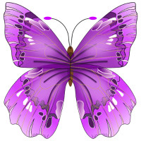 Purple Butterfly