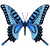 Blue Spotted Butterfly