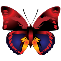 Red Yellow Butterfly