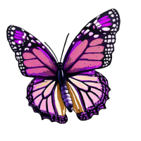 Animated Butterfly