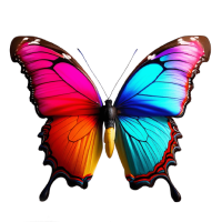 Painted Lady Butterfly