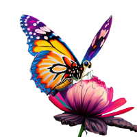 Butterfly and Flower