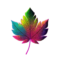 multicolor maple leaf