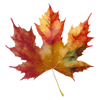 orange yellow autumn leaf