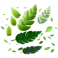 group of green leaves