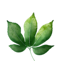 Green Leaves