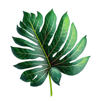 green palm leaf