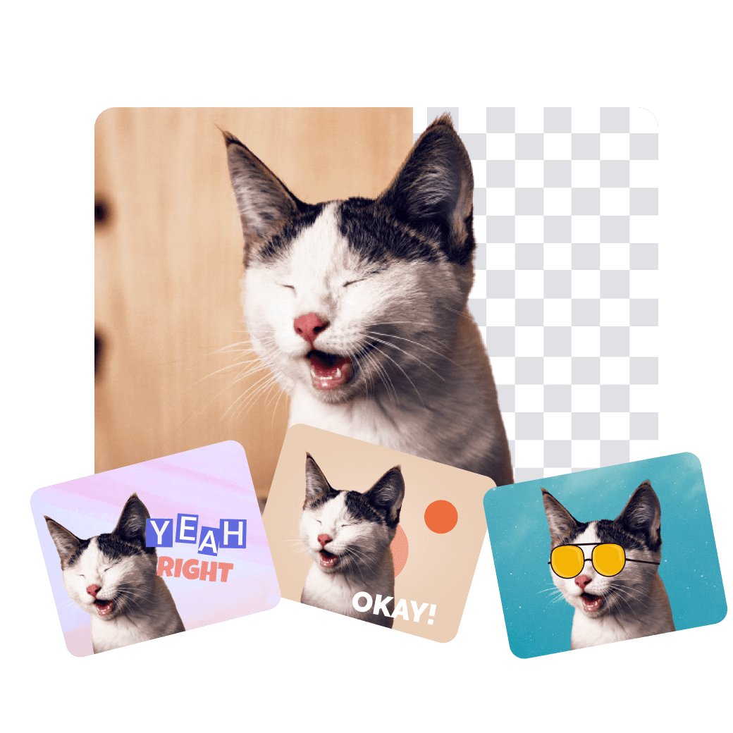 Custom Cat Stickers  Upload Your Photo – Wallmonkeys